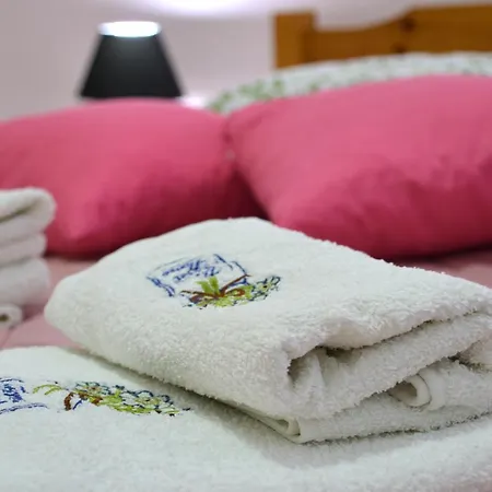 Antony Apartment